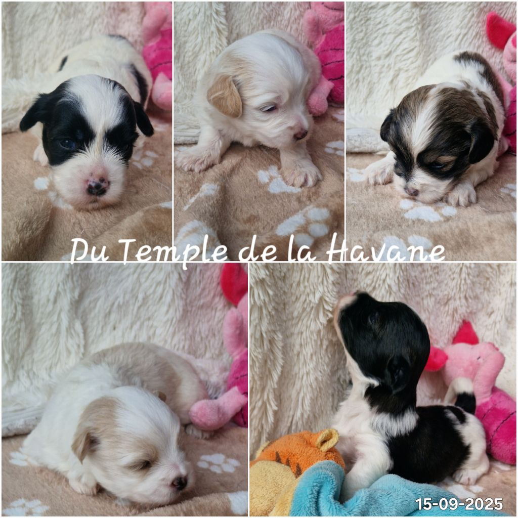 Nos premiers beaux bébés 2025 sont arrivés ! 