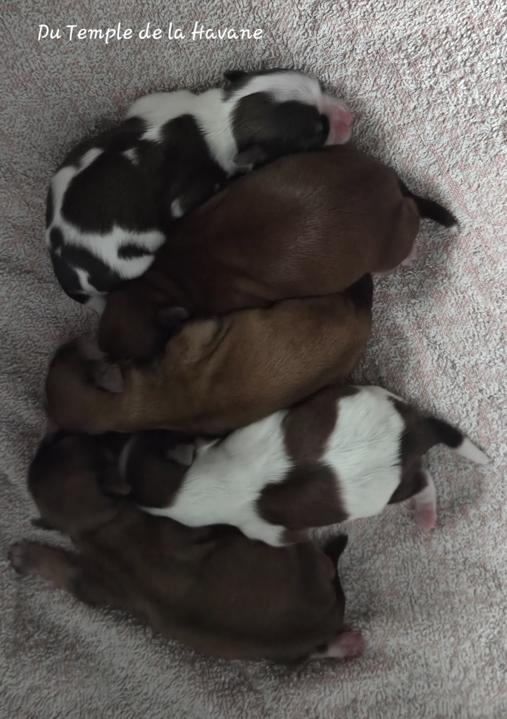 De beaux bébés sont nés !