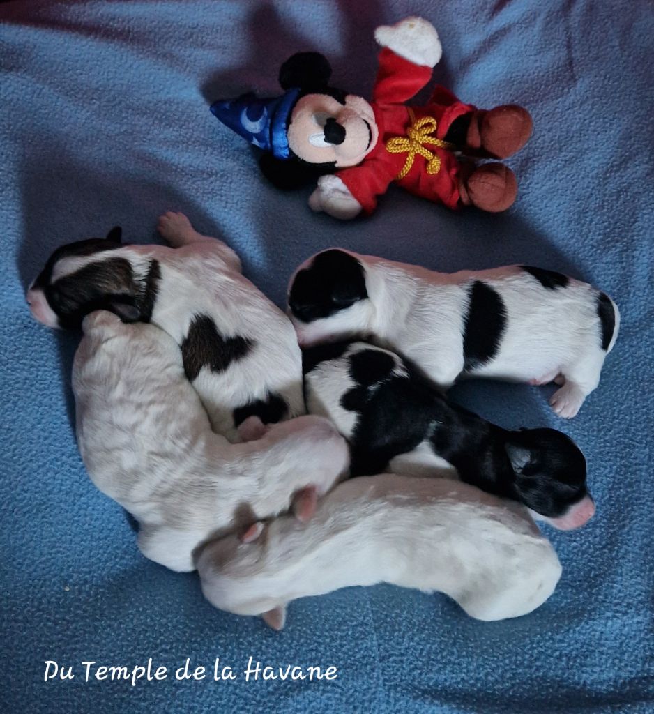 Nos premiers beaux bébés 2025 sont arrivés ! 